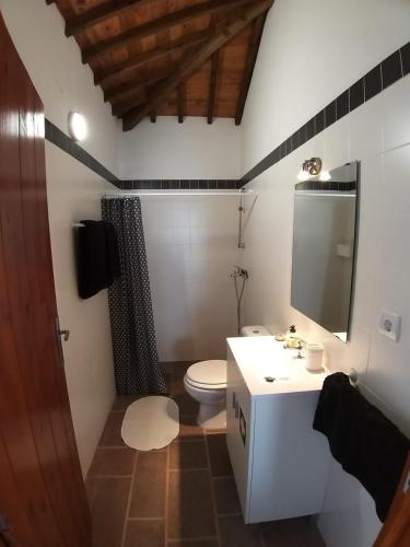 AlmagrinhaCasa Malbusca的一间带卫生间、水槽和镜子的浴室