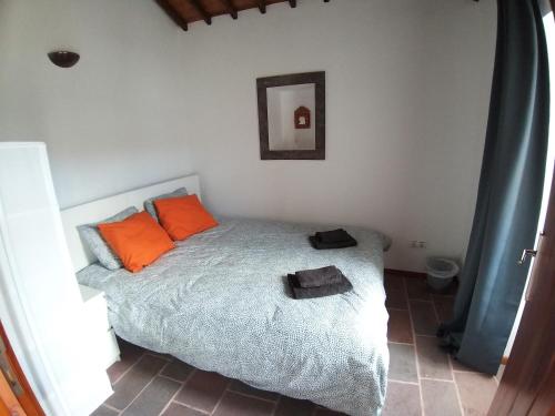 AlmagrinhaCasa Malbusca的一间卧室配有带橙色枕头和镜子的床