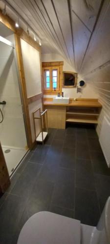 莱希纳Izerski dom的客房设有带水槽和柜台的厨房