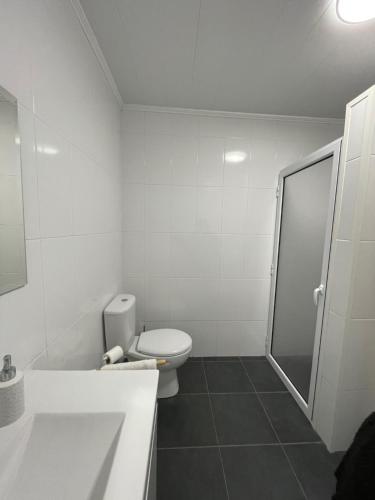 蓬塔德尔加达Arco´s Apartment 2的白色的浴室设有卫生间和淋浴。