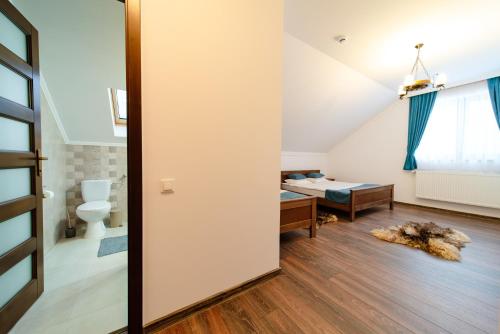 LupeniTransylvanian Relax House的一间带卫生间和床的浴室