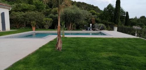 格拉斯Les lodges de l'oliveraie de Virevent的游泳池旁的草木上的棕榈树