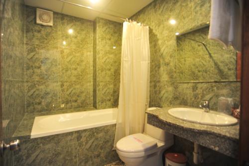 洪天红宝石酒店 的一间浴室