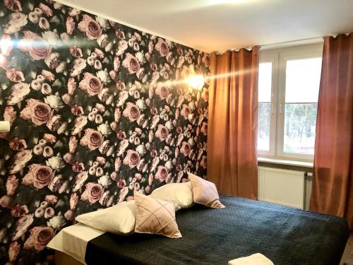 比亚韦斯托克索斯诺维扎西斯泽公寓式酒店的一间卧室,墙上有玫瑰花