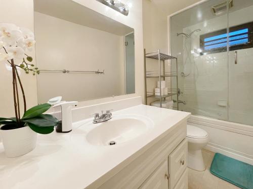 达利城@ Marbella Lane - 3BR Stylish House near SF的白色的浴室设有水槽和卫生间。