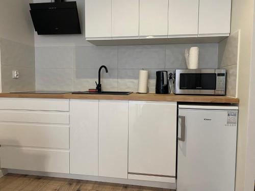 什切青Apartment Insat II的白色的厨房配备了微波炉和冰箱。