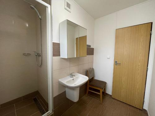 利托梅日采圣斯杰潘旅馆的浴室配有卫生间、盥洗盆和淋浴。