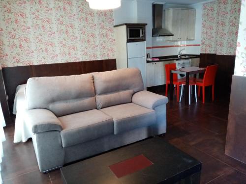 康达Apartamentos Astilleros的带沙发的客厅和厨房