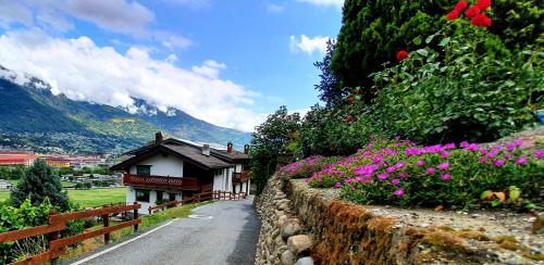 奥斯塔山羊与马住宿加早餐旅馆的路边花房