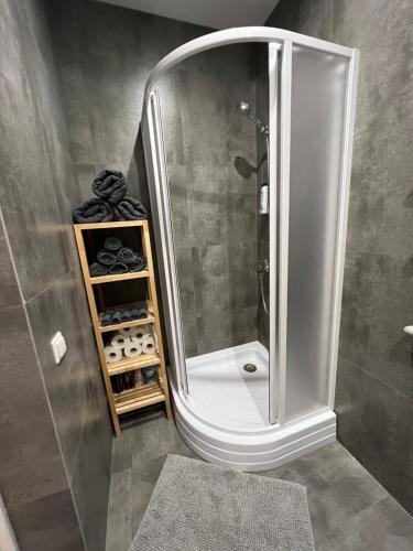 Naujoji AkmenėAkmene Center Apartment的一间带大镜子和淋浴的浴室