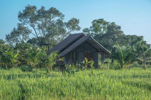 AvudangawaHabarana Farm Cottage的一片高大的草场上的一个小房子