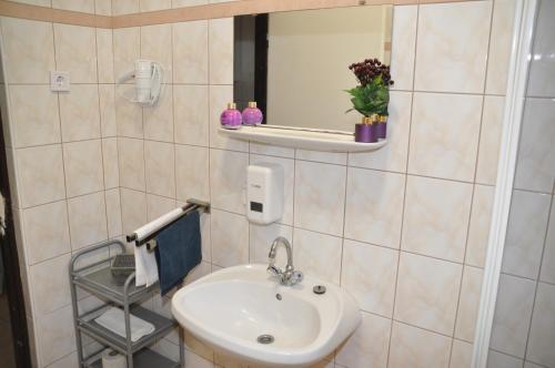 巴拉顿菲兹弗Fűz Apartman的一间带水槽和镜子的浴室