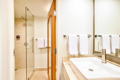 提华纳蒂华纳奥塔伊嘉年华酒店 的一间带水槽和淋浴的浴室