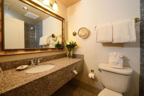 圣安东尼奥O'Brien Riverwalk Boutique Hotel的一间带水槽、卫生间和镜子的浴室