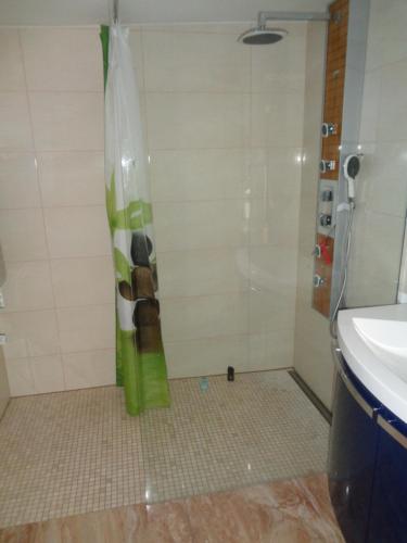 约阿希姆斯塔尔Ferienhaus Saremba的带淋浴和盥洗盆的浴室