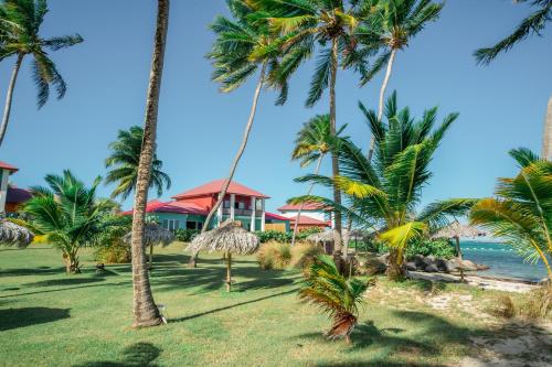 勒弗朗索瓦Suites Anagani的从棕榈树海滩欣赏到度假村的景色