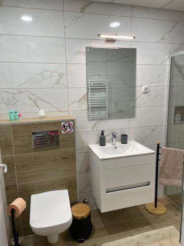 帕拉钦DREAM house的一间带水槽、卫生间和镜子的浴室