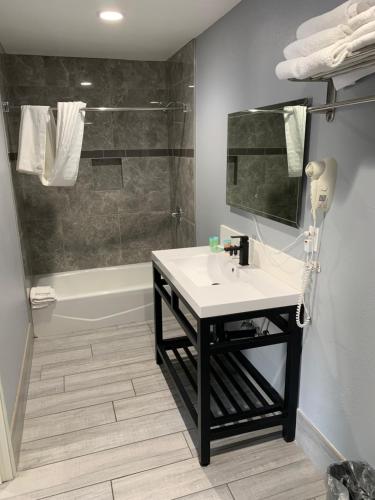森瓦利Willow Tree Inn & Suites的一间带水槽和淋浴的浴室