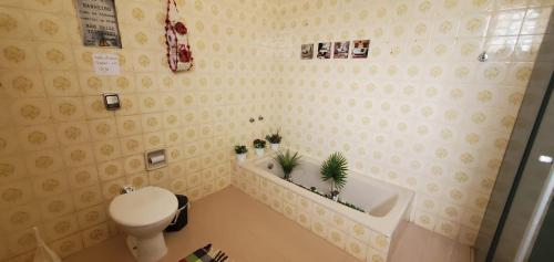 巴乌鲁Hostel Bauru的浴室配有卫生间、浴缸和水槽。