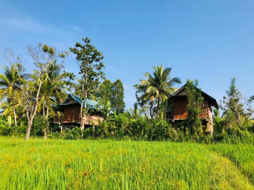 锡吉里亚Sigiriya Paddy Field Hut的草场旁的两座小屋