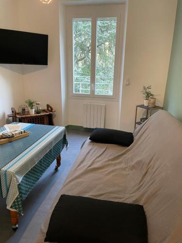 阿列日河畔的塔拉斯孔appartement à Tarascon sur Ariège le Sabart的一间卧室设有两张床和大窗户
