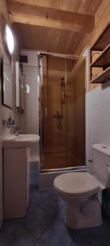 克雷尼察ChatauBrata的带淋浴、卫生间和盥洗盆的浴室