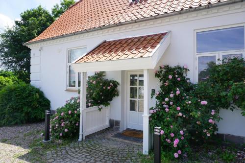布罗艾厄Old Roses Guesthouse的白色的房子,有一扇门,灌木丛中还有粉红色的玫瑰