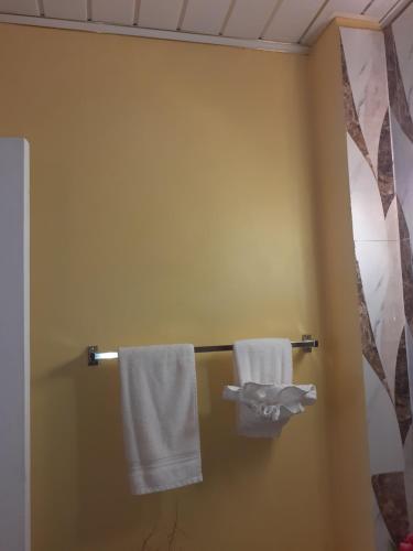 Bon AccordEssentials Suite的浴室毛巾架上挂着两条毛巾