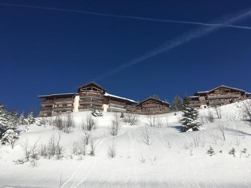 维拉尔叙尔多龙La Perle Des Alpes C2的一座白雪覆盖的山顶上的建筑