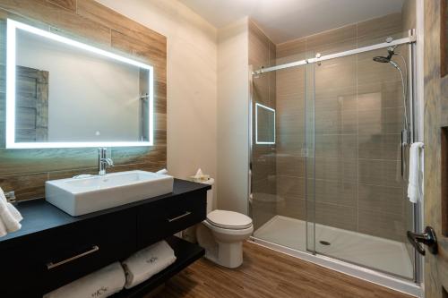 Sainte-MargueriteLe Viking Resort & Marina的一间带水槽和淋浴的浴室