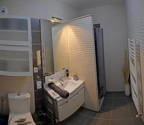 勒格罗-迪鲁瓦Appartement de L'Espiguette的一间带水槽和卫生间的浴室