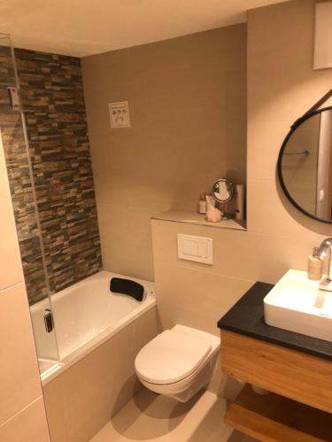 Laax-MurschetgLaax Flims Luxury Large apartment near Rock Resort的浴室配有卫生间、淋浴和盥洗盆。