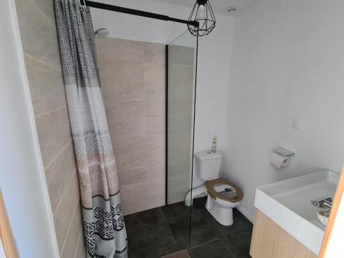 Orgnac-lʼAvenLe Petit Chêne的带淋浴帘和卫生间的浴室