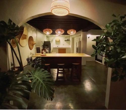 清迈Inn Oon Villa的植物间里带大岛的厨房
