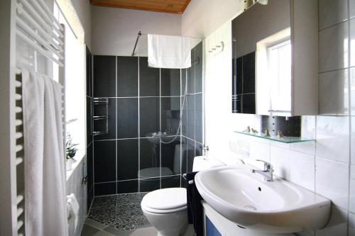 VogelsangApartment, Vogelsang-Warsin的浴室配有白色卫生间和盥洗盆。