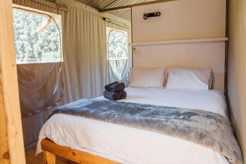 惠灵顿AfriCamps at Doolhof Wine Estate的一间卧室配有一张带摄像头的床