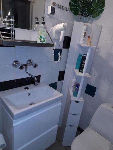 亚斯沃Noclegi Grota的一间带水槽和卫生间的浴室