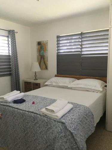 拉纳韦贝Garden Apartment-5min Drive to Beaches, 1 hour Montego Bay, 25 mins Ocho Rios的相册照片