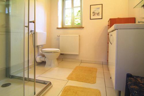 普劳西Apartment, Plau am See的一间带卫生间和玻璃淋浴间的浴室