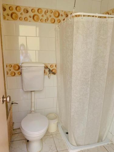 奥索尔诺Hospedaje的一间带卫生间和淋浴帘的浴室