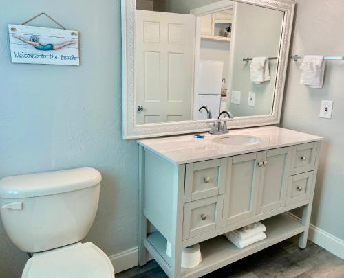 代托纳海滩Organic Beach Retreat的一间带卫生间、水槽和镜子的浴室