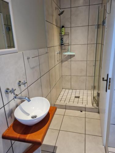 开普敦Oregon Apartment Cape Town的一间带水槽和淋浴的浴室