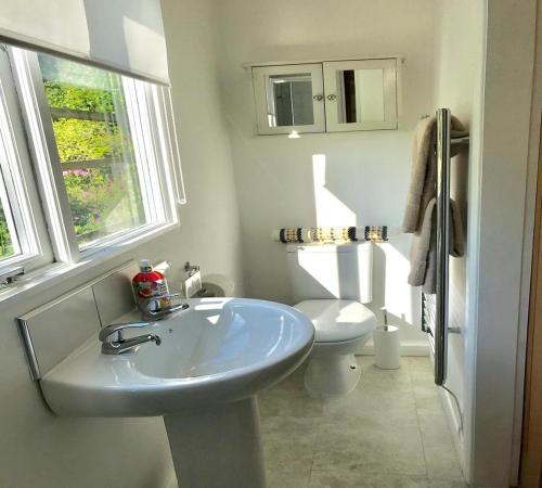 Newton PopplefordSecret Chalet的一间带水槽和卫生间的浴室
