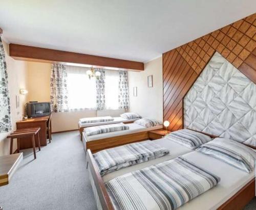 LenzingAustria Traveller Hotel Lenzing的一间卧室配有两张床和电视。