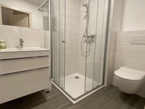 特拉森海德Apartment Strandidyll, Trassenheide的带淋浴、卫生间和盥洗盆的浴室