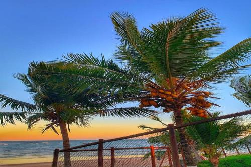 伊塔齐米林Dream House的两棵棕榈树,在海滩上