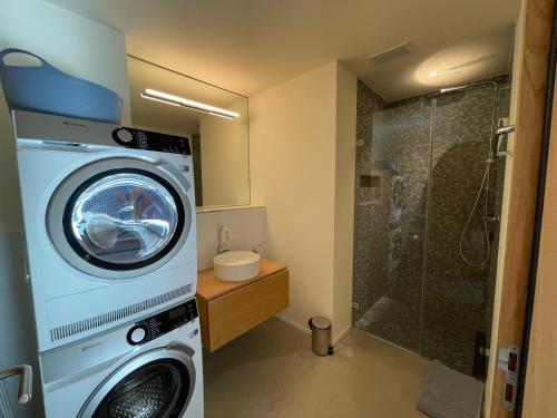弗利姆斯Selva Mountain Apartment的带淋浴的浴室内的洗衣机