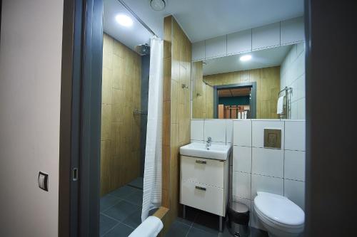 鄂木斯克Urban Hotel的一间带卫生间和水槽的小浴室
