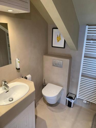 拉罗什-阿登Les Tanneries的浴室配有白色卫生间和盥洗盆。