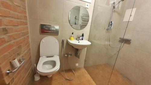 锡拉迈埃Majakovski Junior Suite的浴室配有卫生间、盥洗盆和淋浴。